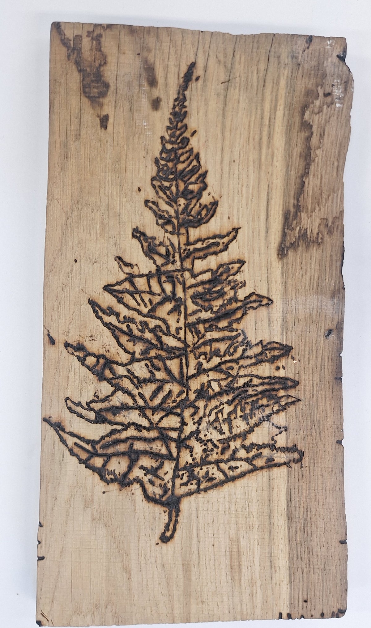Botanical Pyrography 10-12.30 am November 14th 2026