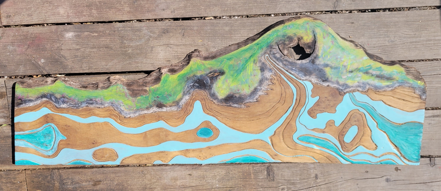 Land Scapes and Sea Scapes