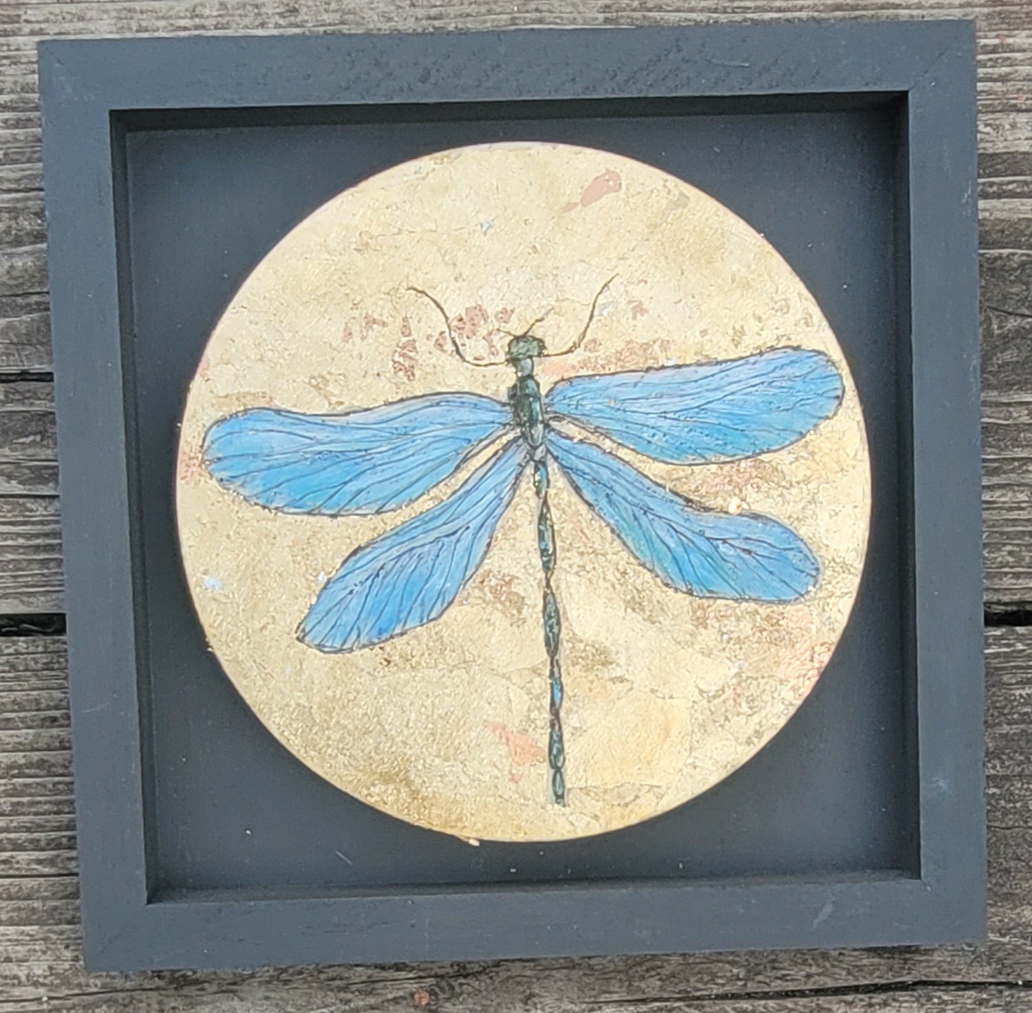 Insect Mini Art Collection