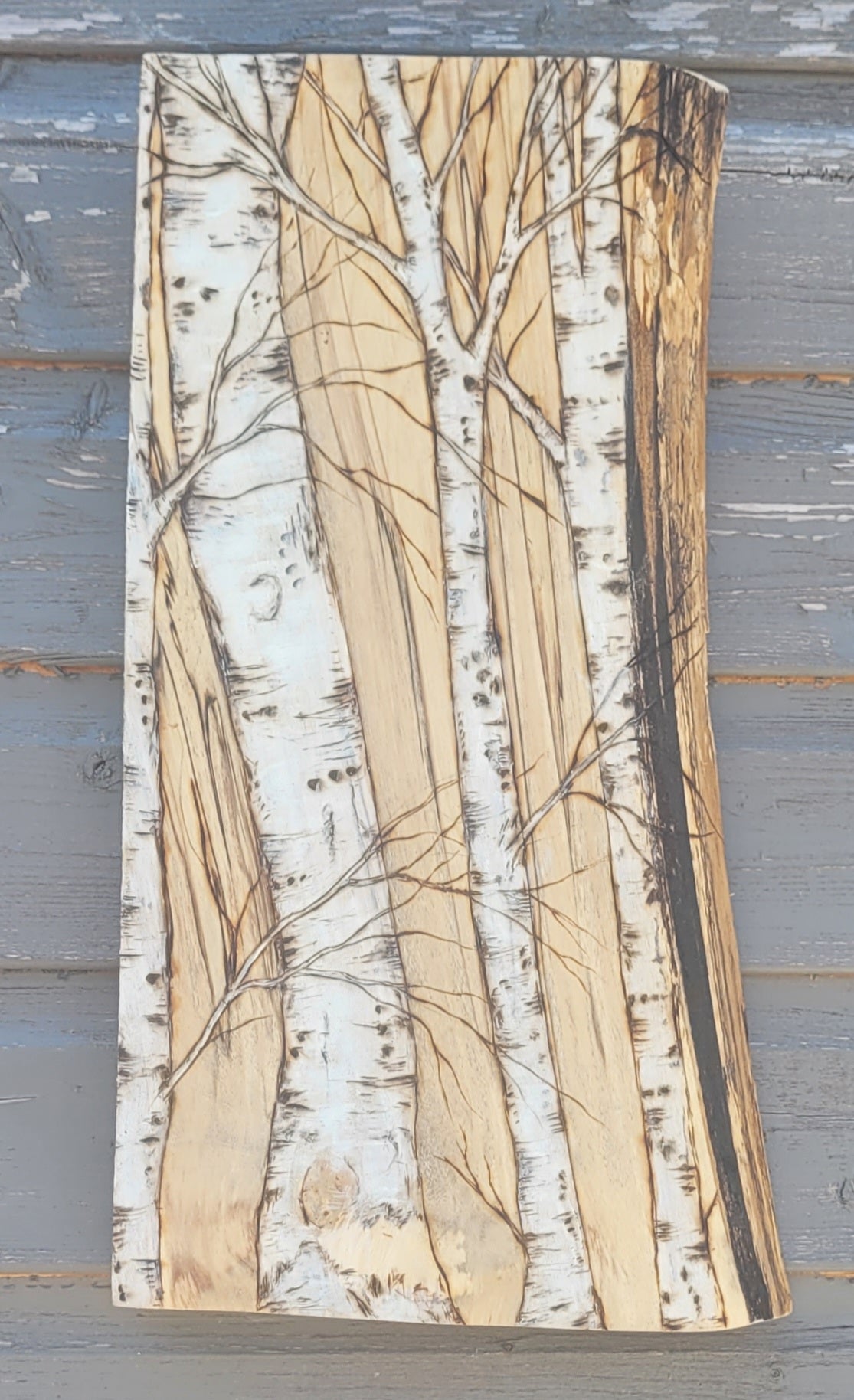 Rustic Birch Tree Collection