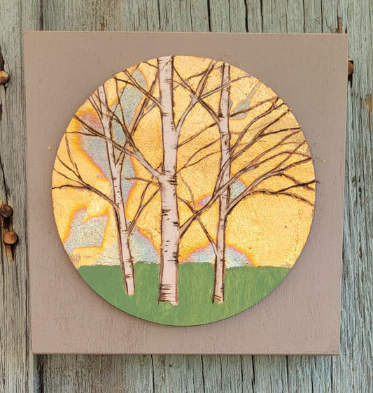 Mini  Birch Trees forest round on a square.