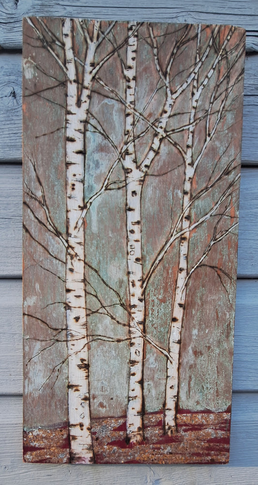 Copper birch trees with a touch of red and gold