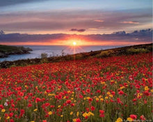 Load image into Gallery viewer, Art and Wellness Retreat Cornwall      Ruth Wheeler         22nd- 29th May 2026
