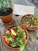 Load image into Gallery viewer, Art and Wellness Retreat Cornwall      Ruth Wheeler         22nd- 29th May 2026
