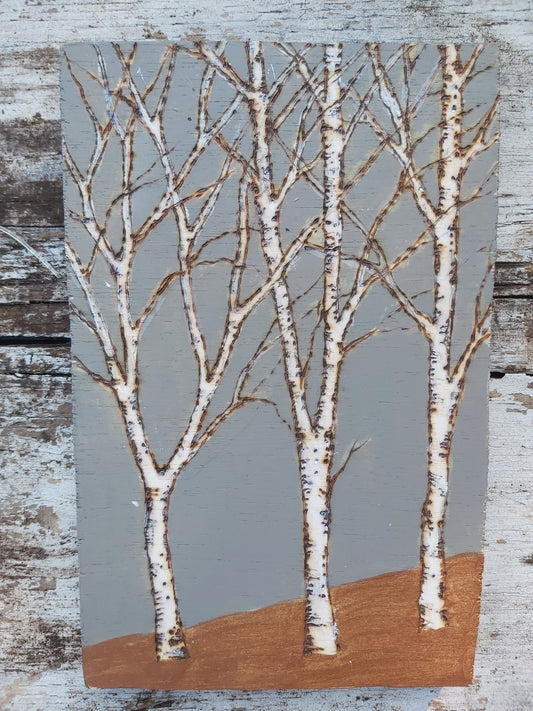Little Grey Birch Trees