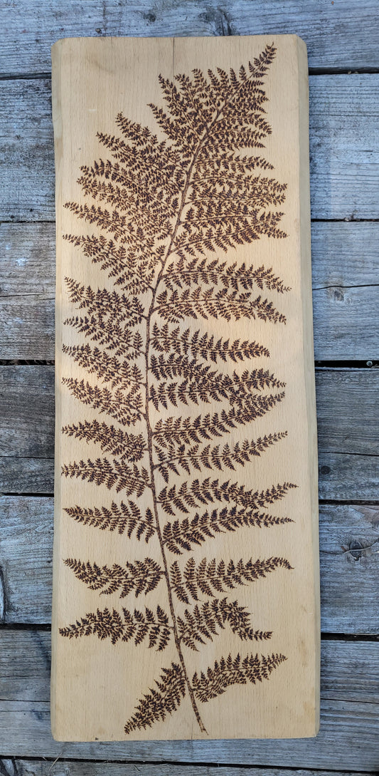 XL Fern on Beech Wood